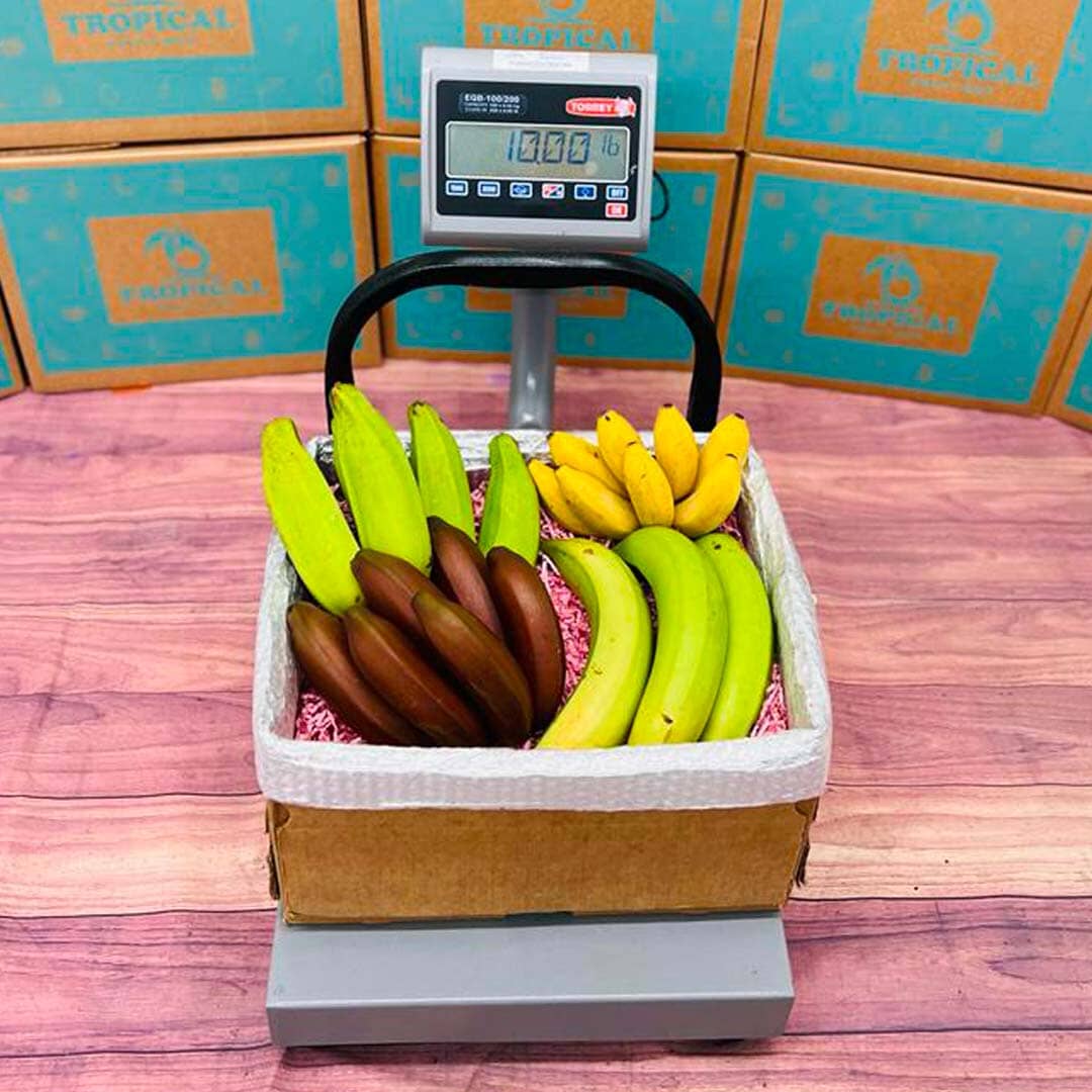 Banana Bonanza Box Produce Box Tropical Fruit Box 