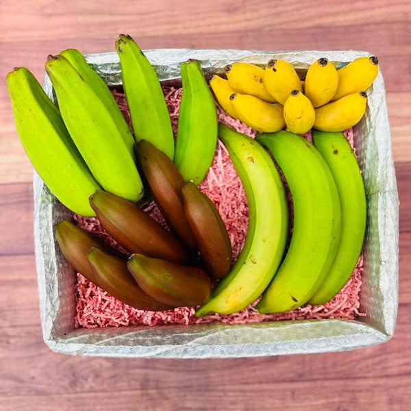 Banana Variety Box Guineo Tropical Fruit Exotic Fruit Fresh Fruit Organic  Fruit Fruit 