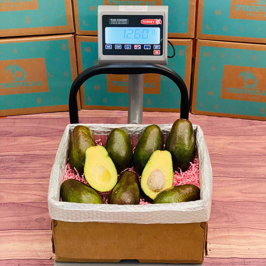 Benny Avocado Box Avocados Tropical Fruit Box 