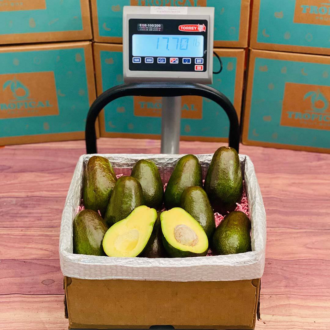 Avocado In Box Benny Avocado Box - Small (5 Pounds)
