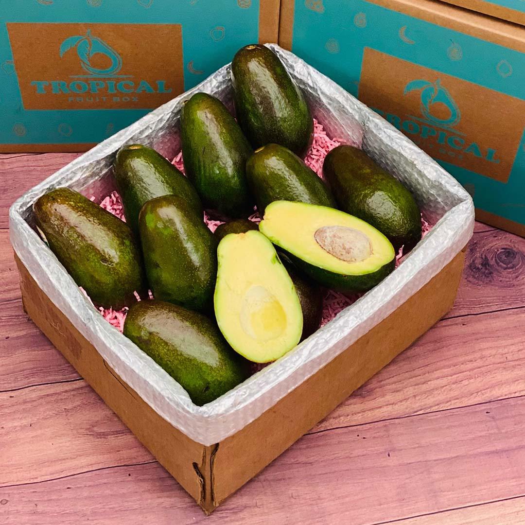 Avocado In Box Benny Avocado Box - Small (5 Pounds)