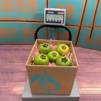 Thumbnail for Black Sapote Box Specialty Box Tropical Fruit Box Small 3 Pounds 