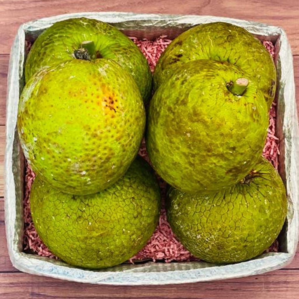 Breadfruit Near Me breadfruit-near-me