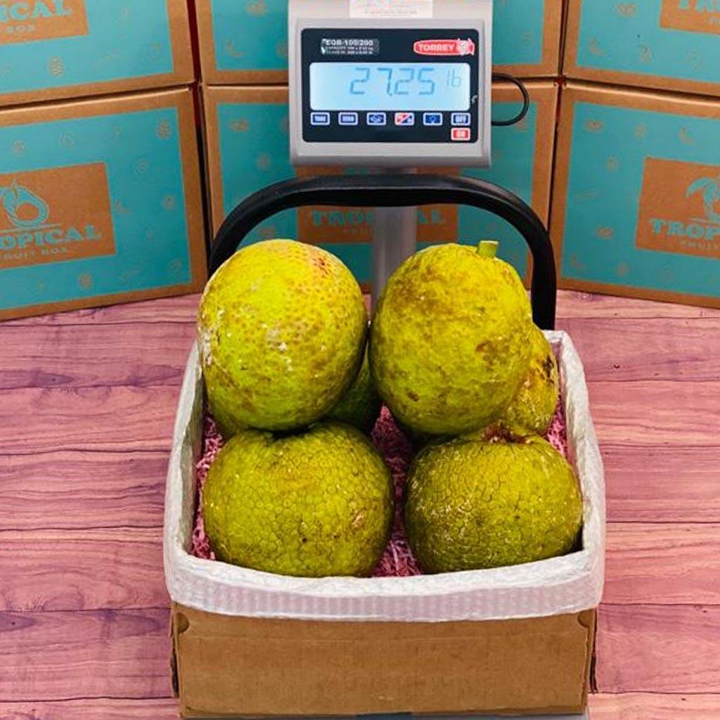 buy breadfruit online in this box
