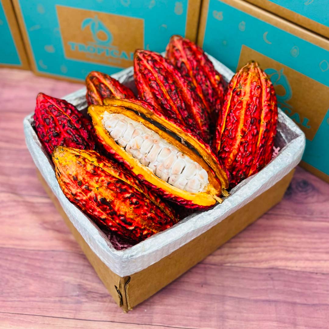 Whole Cacao Fruit Bar, Exotic Chocolate Bars