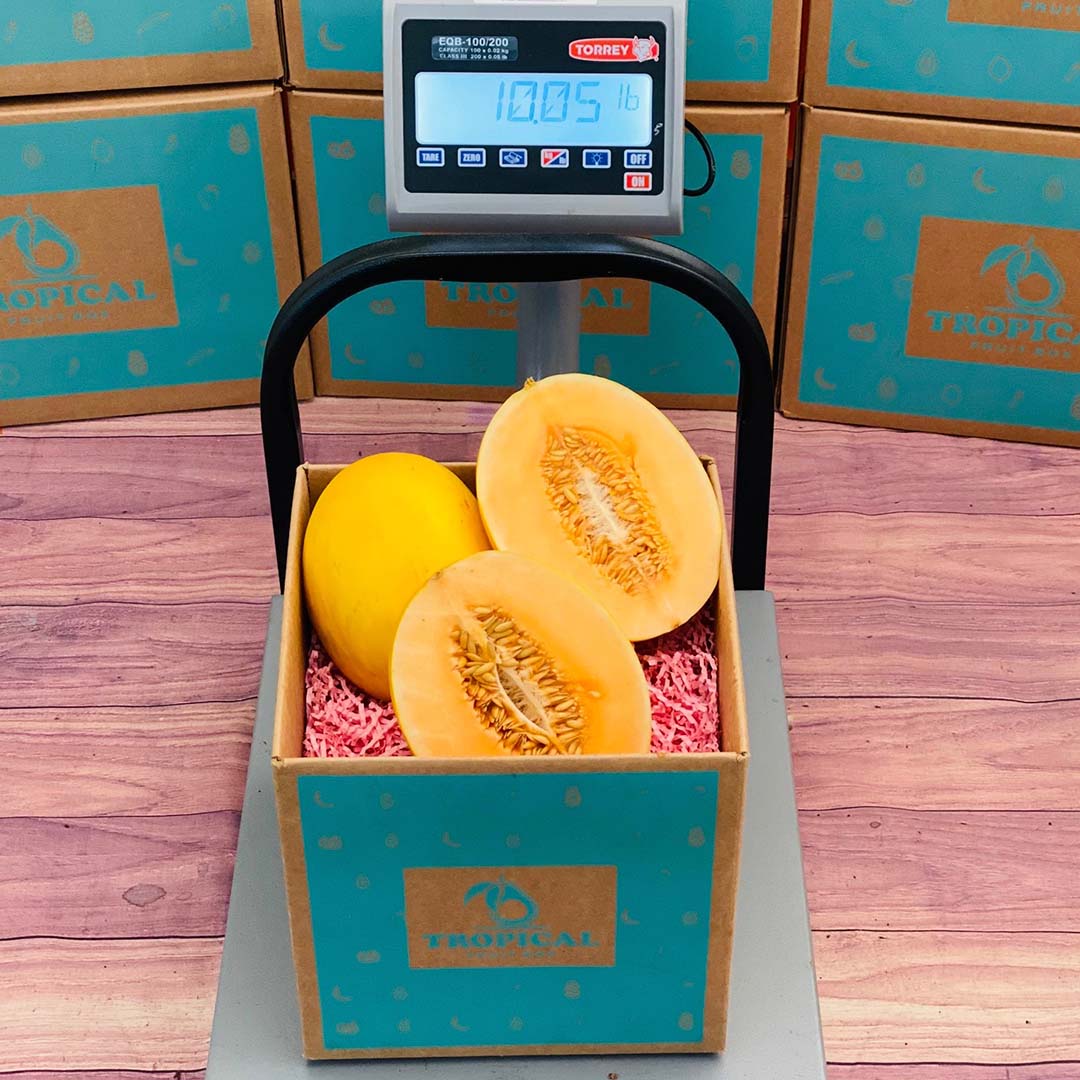 Canary Melon Box 
