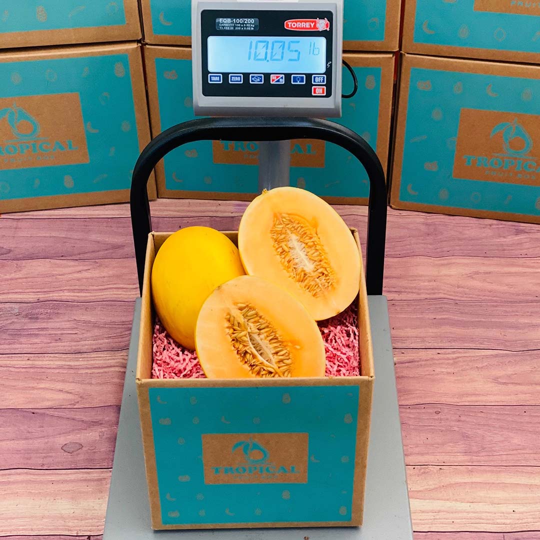 Box Ofmelon Canary Melon - Order Your Fresh Canary Melon Box Online Today - Regular ...