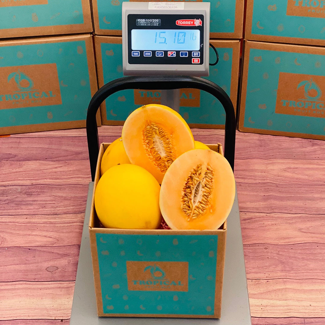 Box Ofmelon Canary Melon - Order Your Fresh Canary Melon Box Online Today - Regular ...