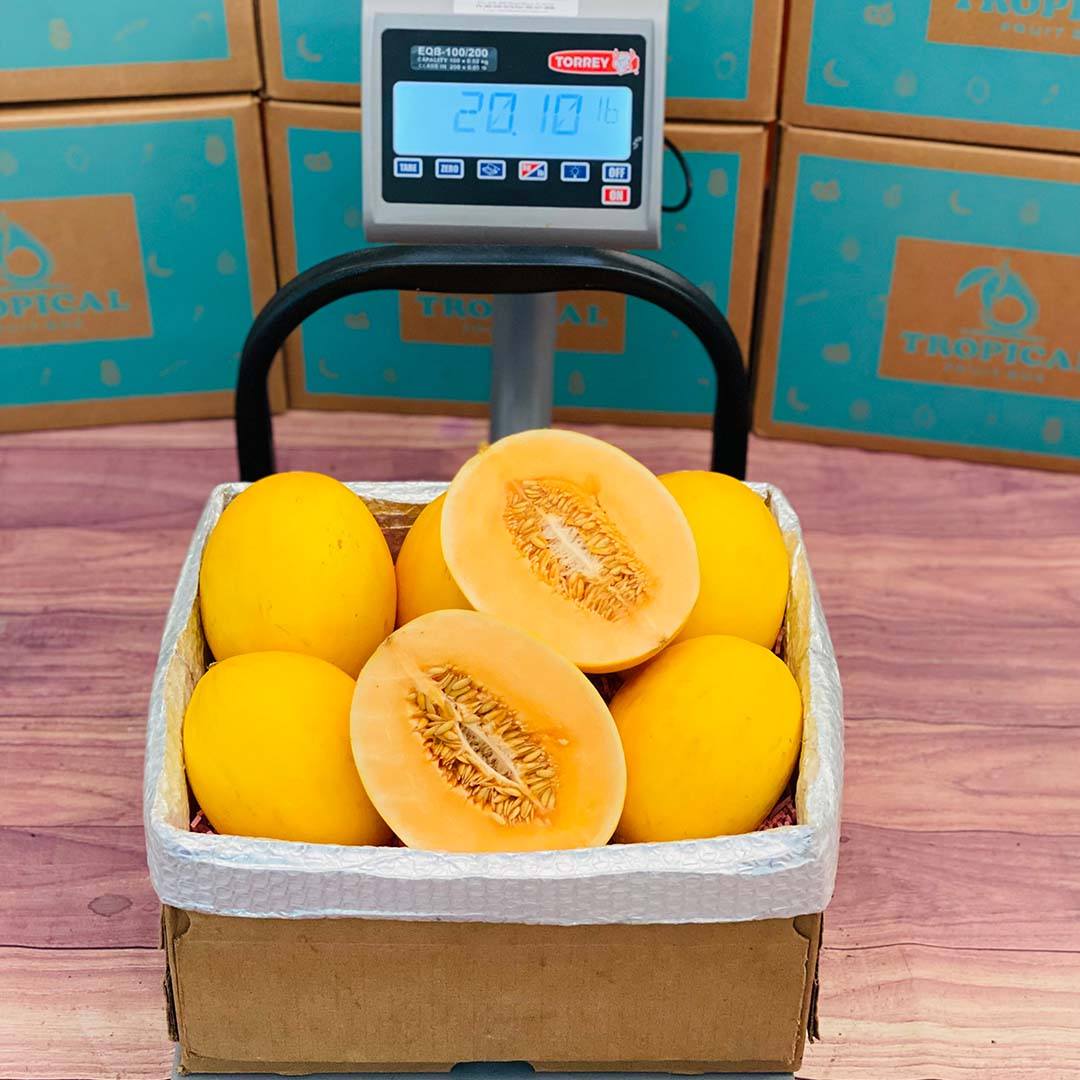 Box Ofmelon Canary Melon - Order Your Fresh Canary Melon Box Online Today - Regular ...