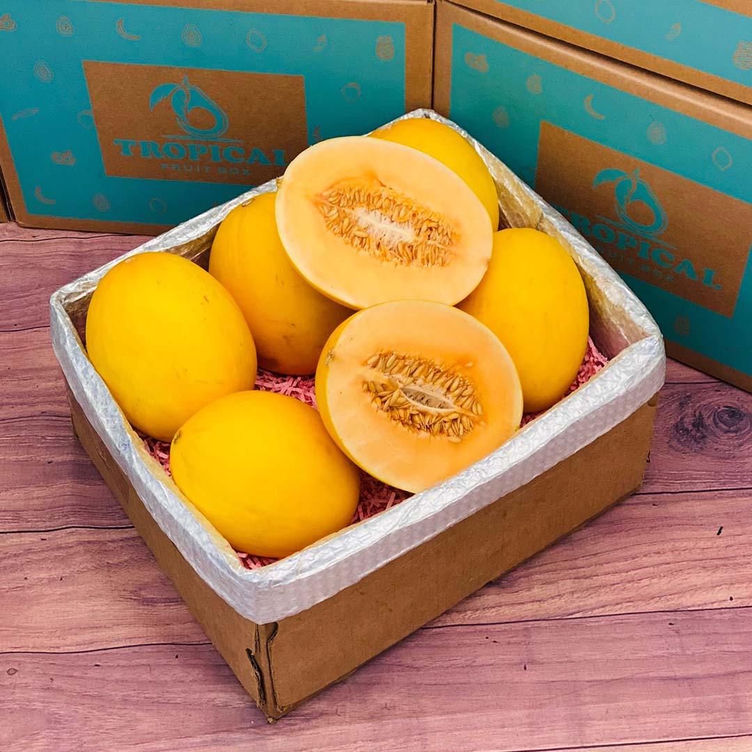 Box Ofmelon Canary Melon - Order Your Fresh Canary Melon Box Online Today - Regular ...