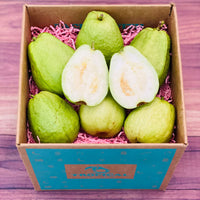 Thumbnail for China White Guava Fruit BoxMedium (5 Pounds) 