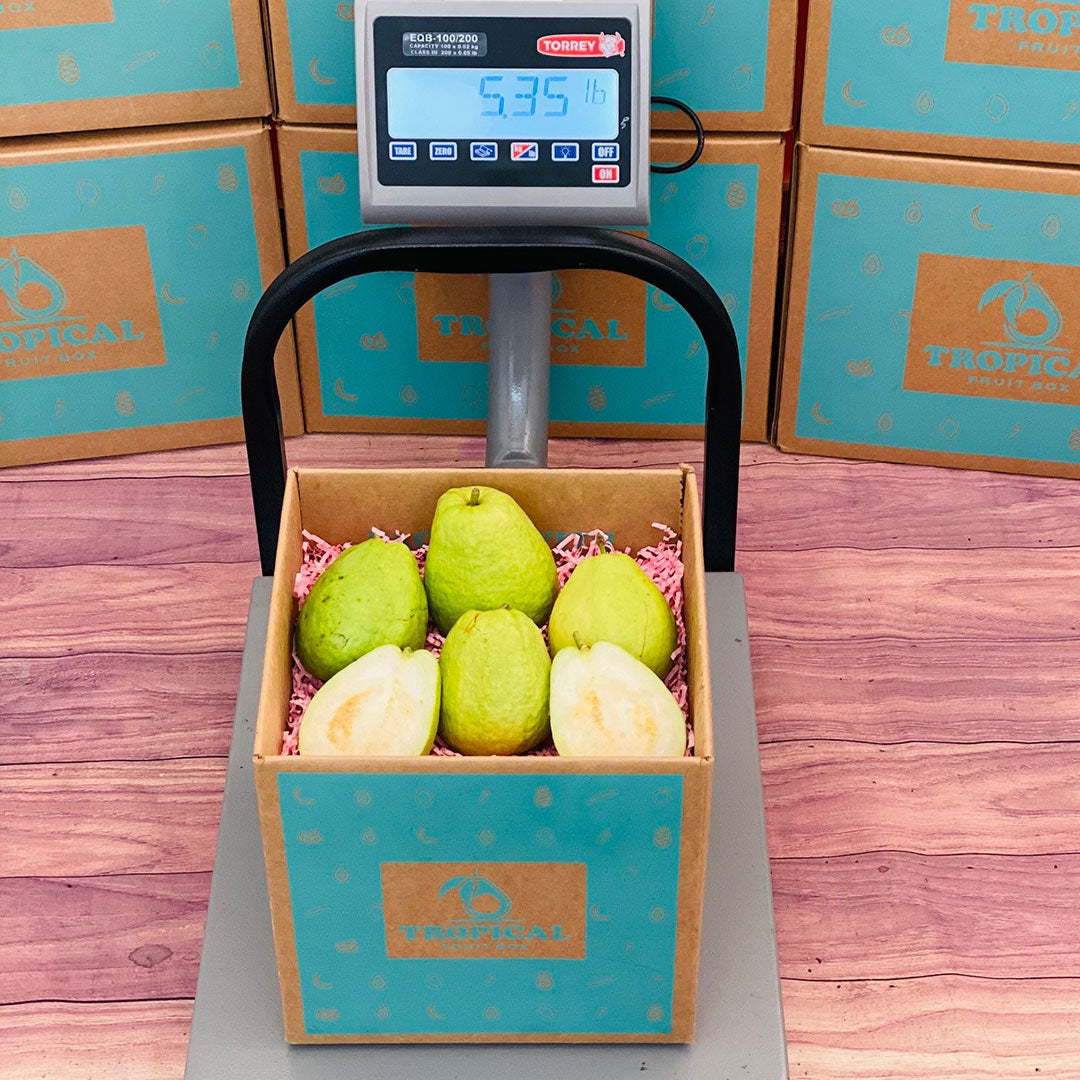 Guva Box China White Guava Fruit Box - Small (3 Pounds)