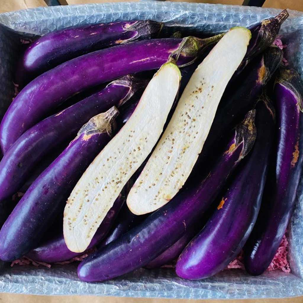 Chinese Eggplant 