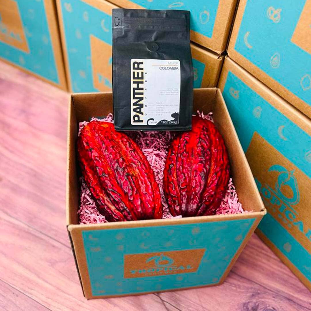 Cacao & Coffee Box Fruit Mixes Tropical Fruit Box 