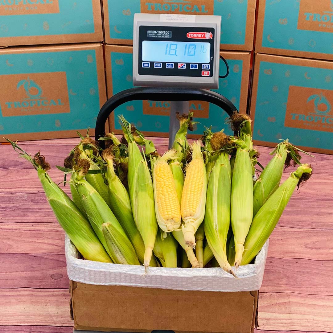 Corn Boxes Florida Corn Box - Small (3 Pounds)
