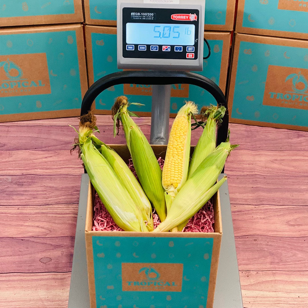 Corn Boxes Florida Corn Box - Small (3 Pounds)