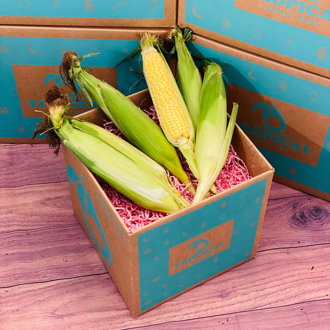 Open Corn Boxes Florida Corn Box - Small (3 Pounds)