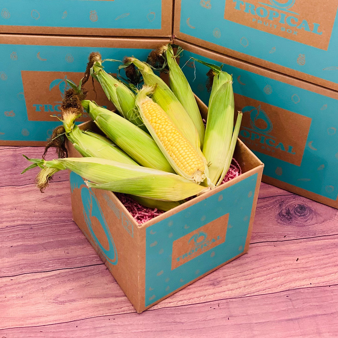 Open Corn Boxes Florida Corn Box - Small (3 Pounds)
