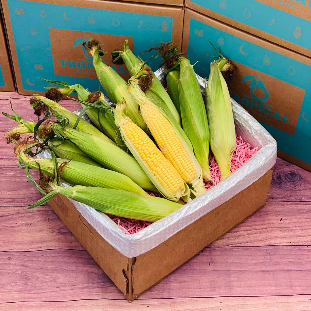 Corn Boxes Florida Corn Box - Small (3 Pounds)