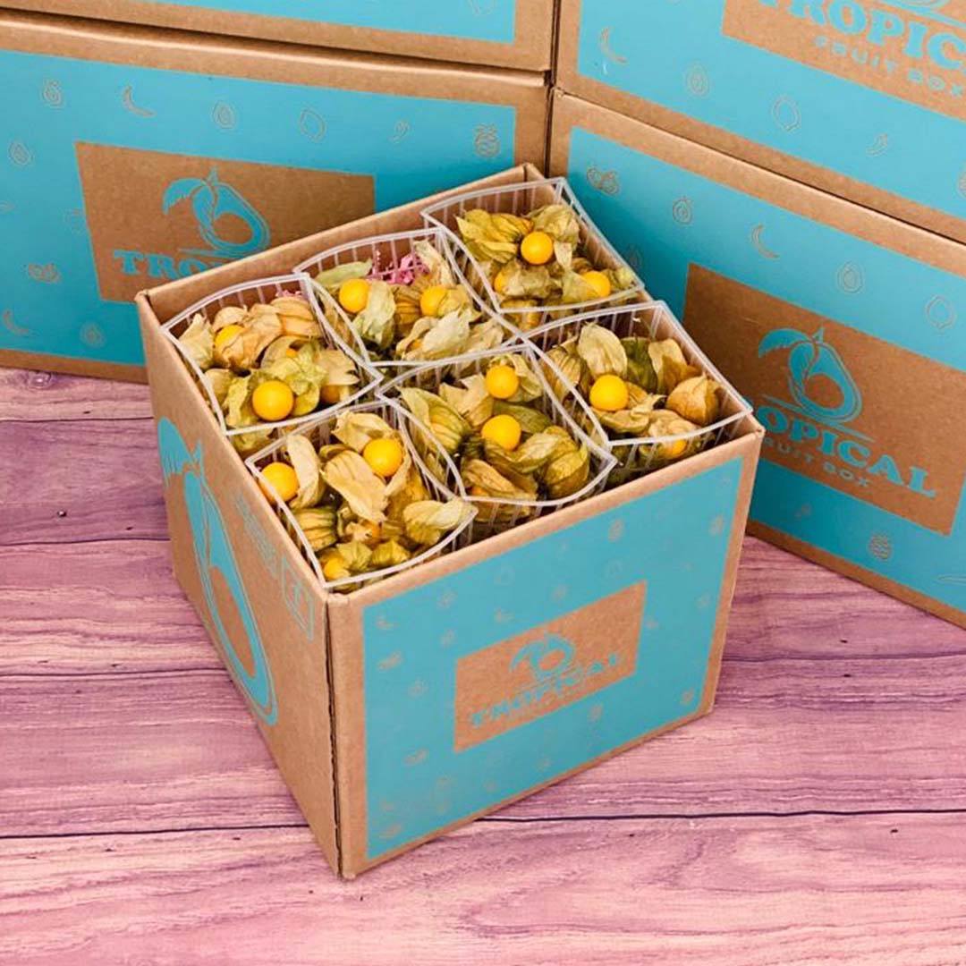 Golden Berry BoxRegular (6 Crates) 