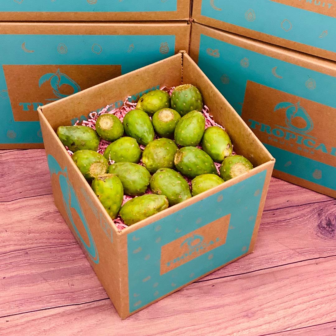 Green Cactus Pear