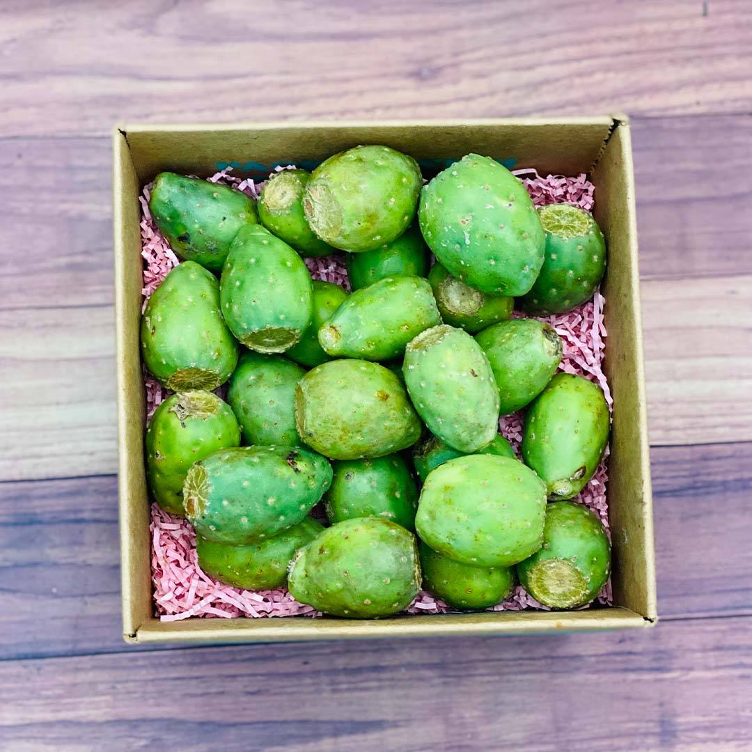 Green Cactus Pear | Prickly Pear Box 