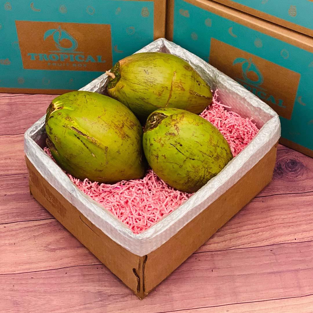 Green Coconut Box Coconuts Tropical Fruit Box 