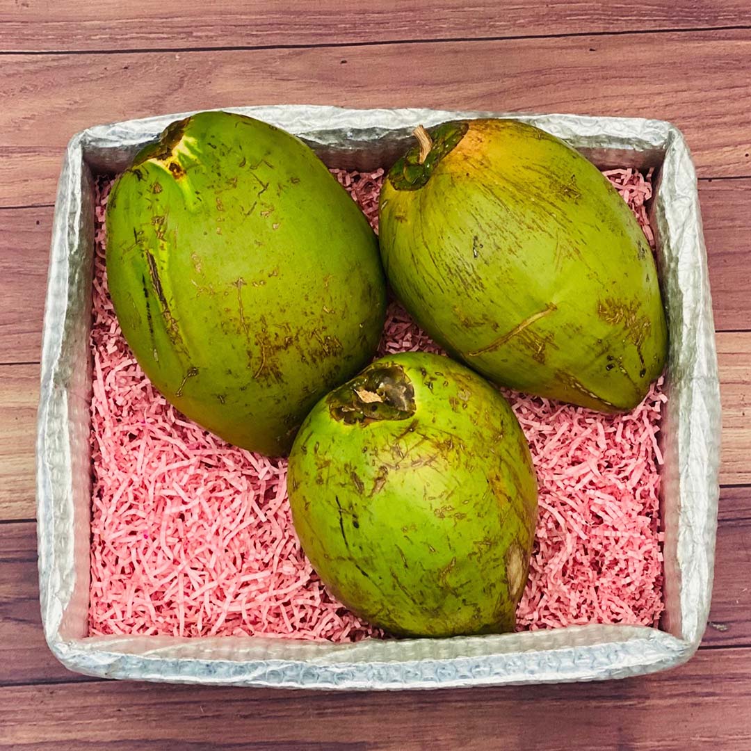 Green Coconut Box Coconuts Tropical Fruit Box 3 Green Coconuts 