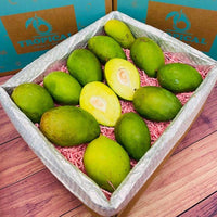 Thumbnail for Green Baby Mangoes Near Me