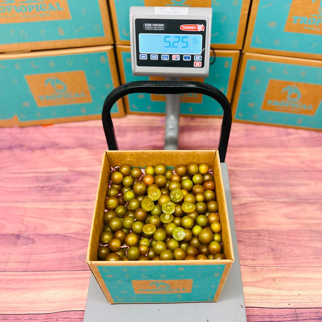 Green Muscadine Grapes Box Tropical Fruit Box 