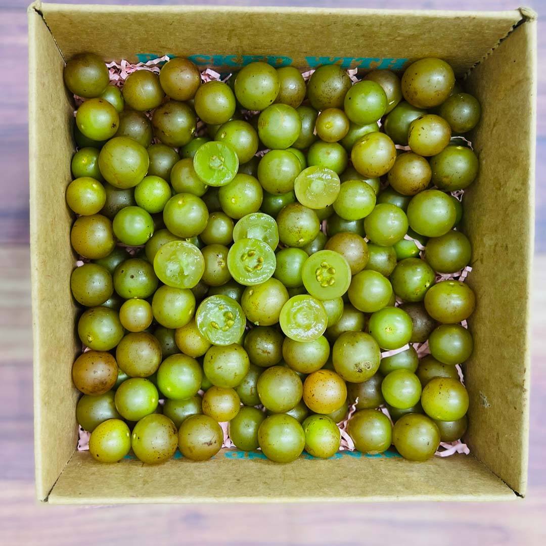 Green Muscadine Grapes Box Tropical Fruit Box green-muscadine-grapes-box-tropical-fruit-box