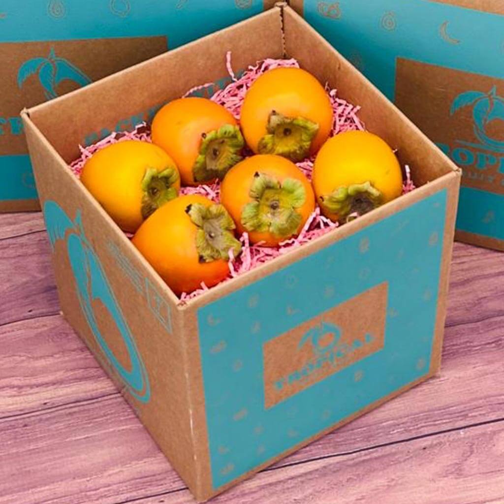 Hachiya Persimmon Box - Tropical Fruit Box