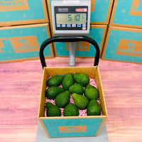 Thumbnail for Hass Avocado Box Produce Box Tropical Fruit Box 