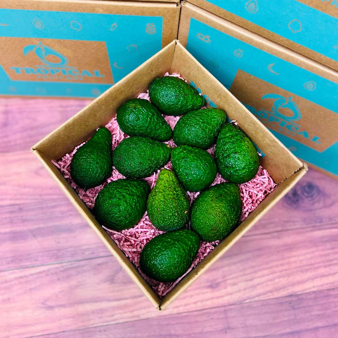 Avocado In Box Hass Avocado Box - Small (3 Pounds)