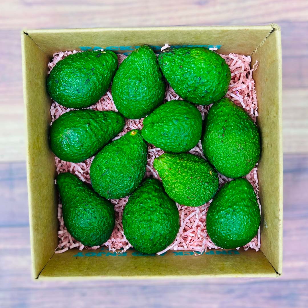 Hass Avocado Box Produce Box Tropical Fruit Box Small (3 Pounds) 