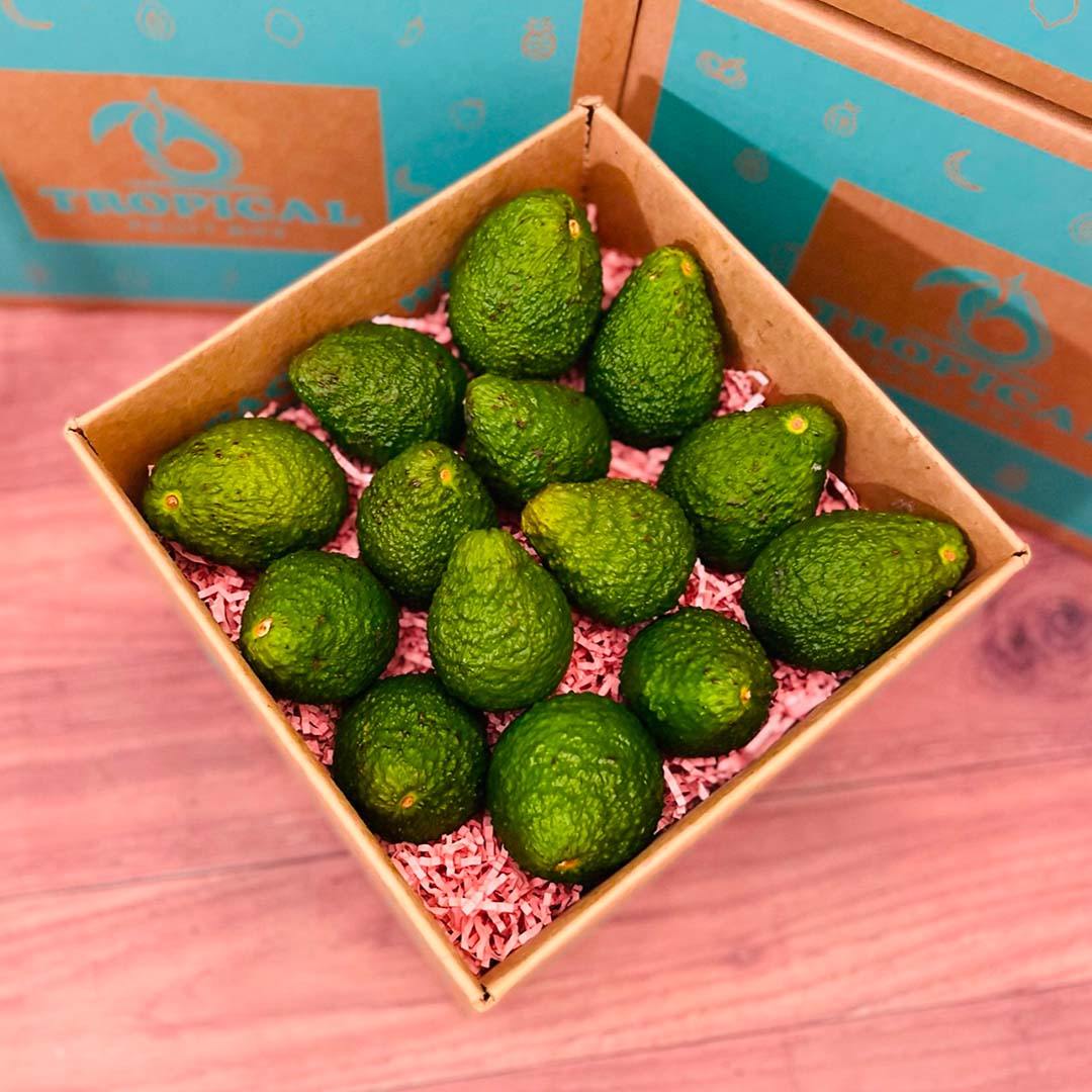 Hass Avocado Box Produce Box Tropical Fruit Box 