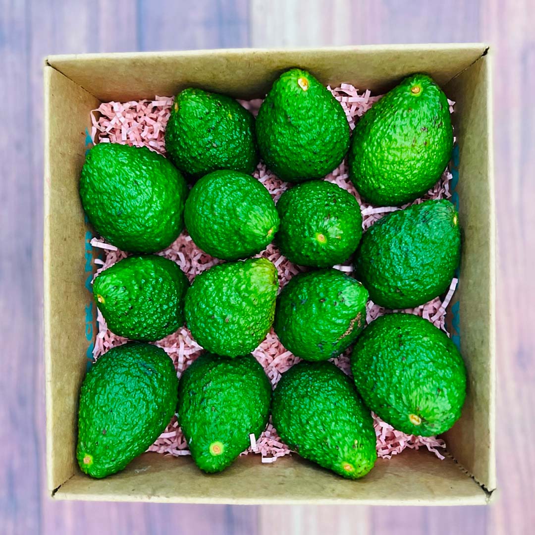 Hass Avocado Box Produce Box Tropical Fruit Box Medium (5 Pounds) 
