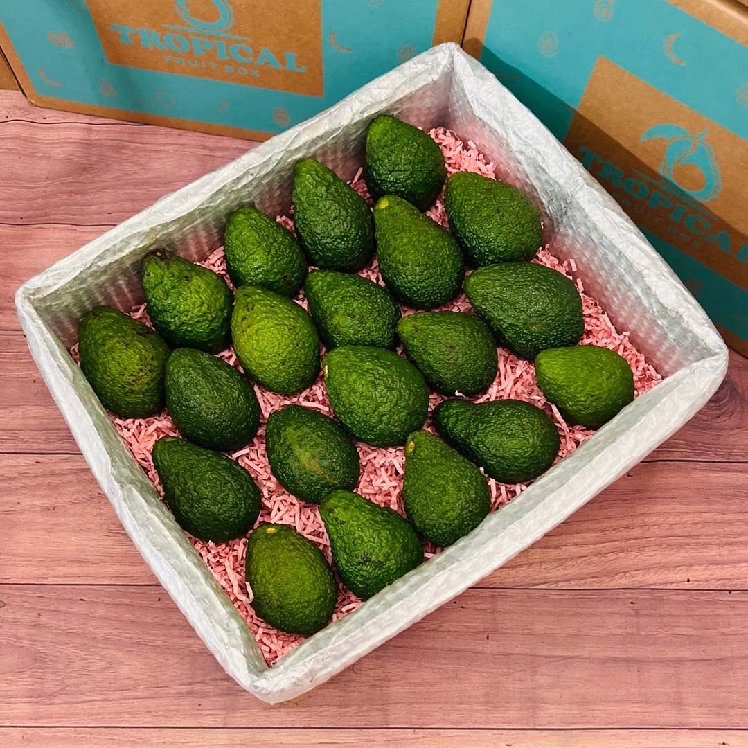 Avocado In Box Hass Avocado Box - Small (3 Pounds)