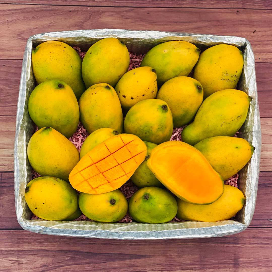 Haitian Mango - Order the king Mangos Online at Tropical Fruit Box. - Tropical Fruit