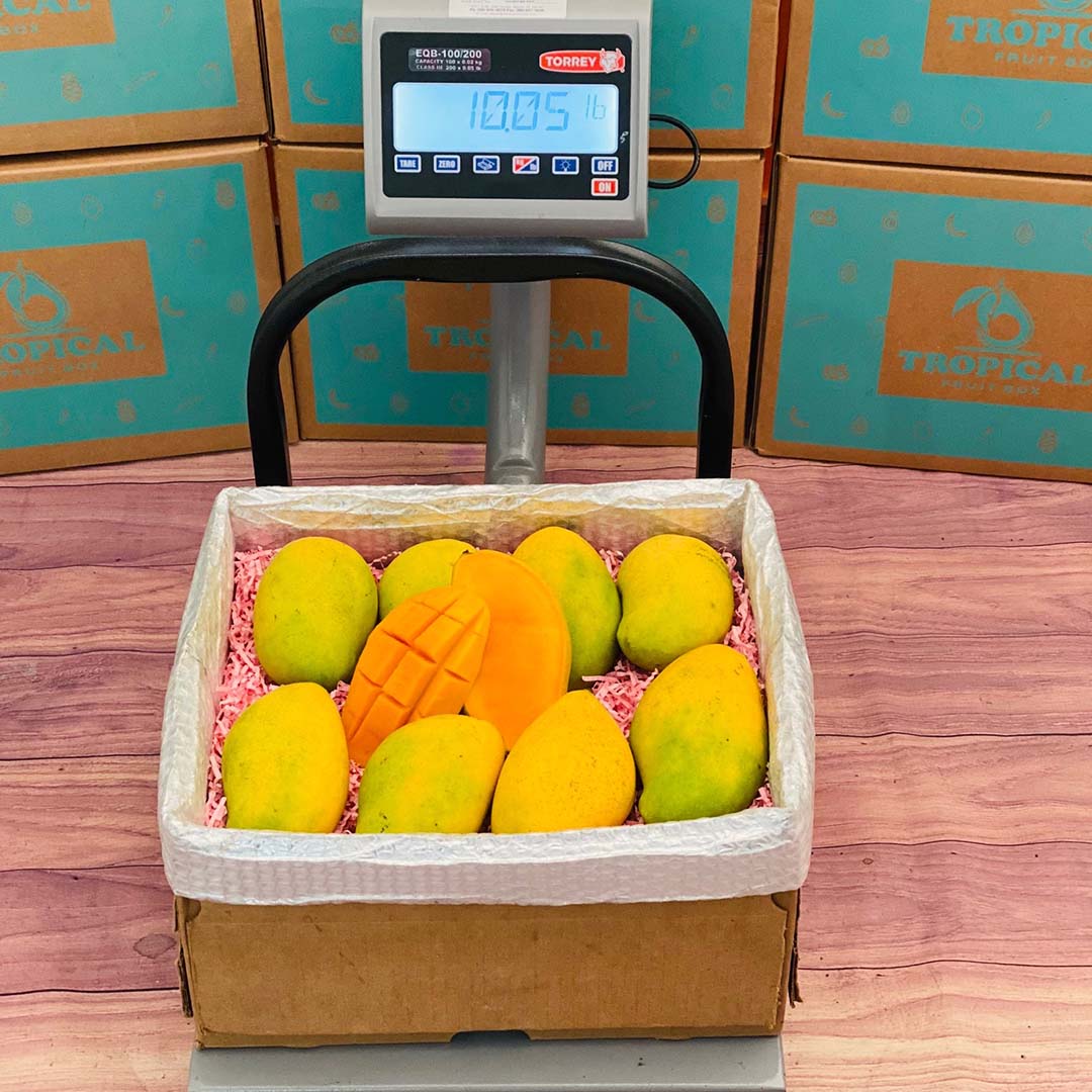Mango Instrument Box Haitian Mango - Order the king of Mangos Online at Tropical Fruit Box ...