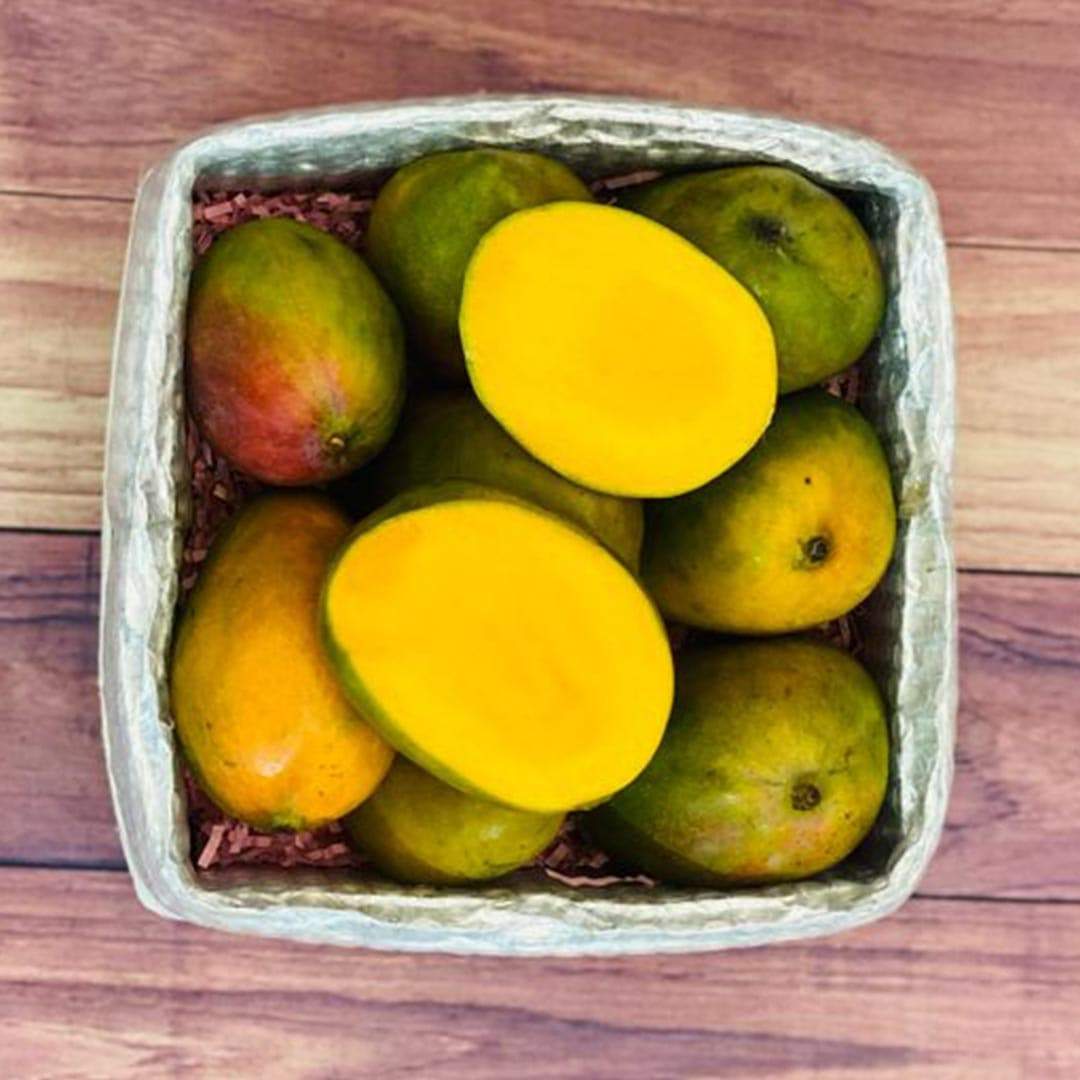 Box of jamaican mangos