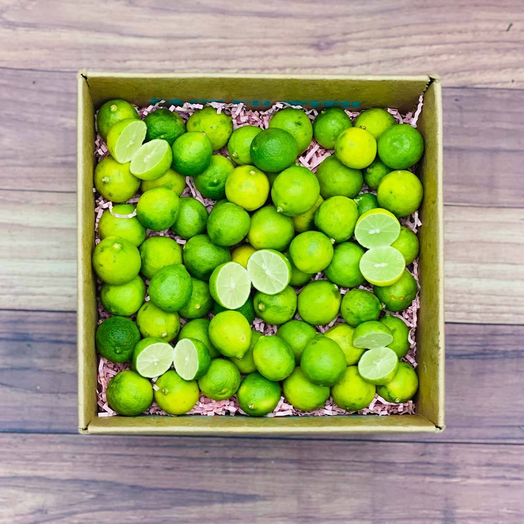 Key Lime Box | We have Key Limes to make Delicious Pies and More ...