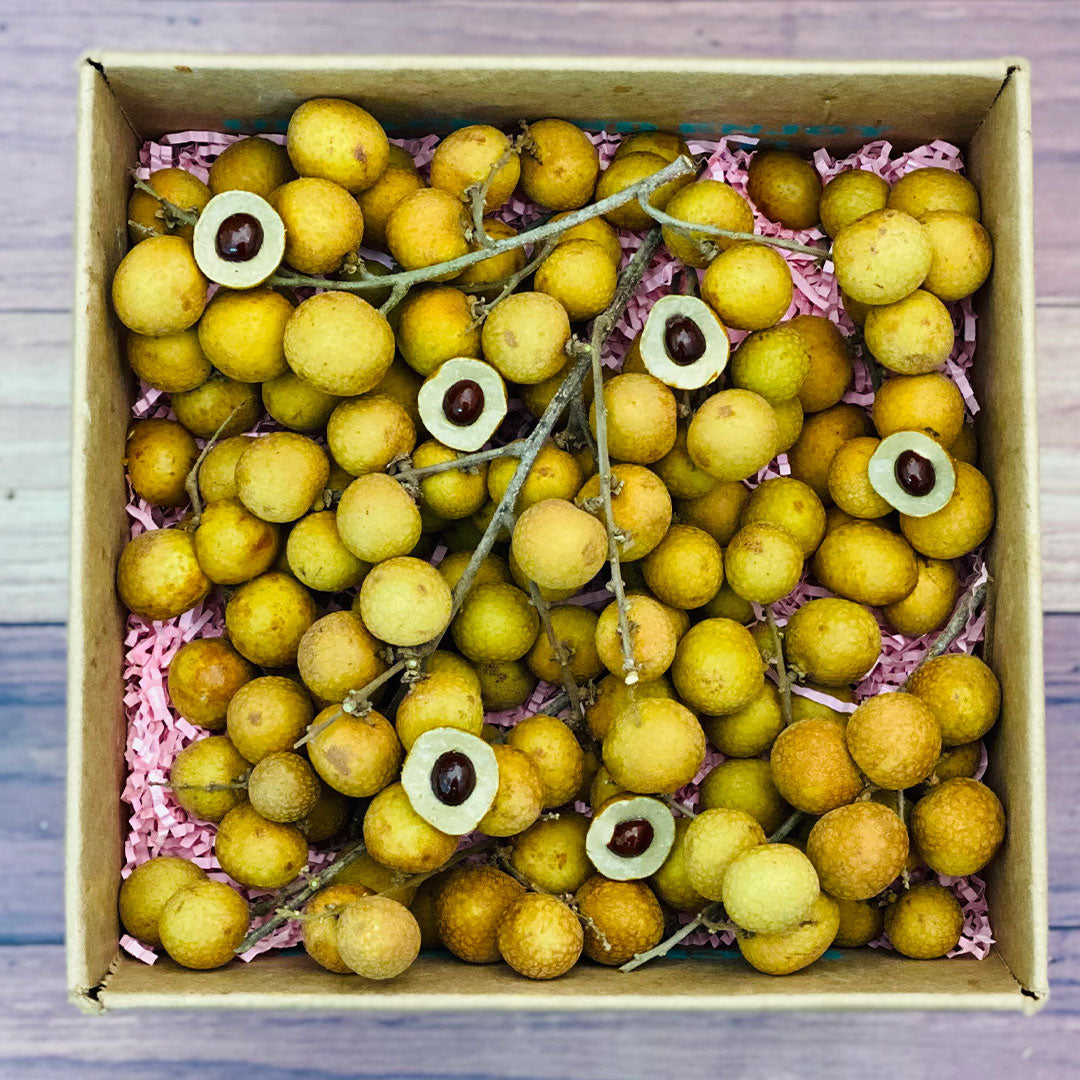 Longan Fruit Box 