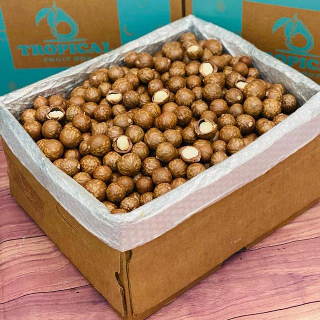 Floridian Macadamia Nuts