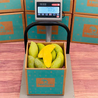 Thumbnail for Fresh Nam Doc Mai Mangos Mangoes Tropical Fruit Box 