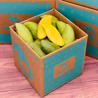 Thumbnail for Fresh Nam Doc Mai Mangos Mangoes Tropical Fruit Box 
