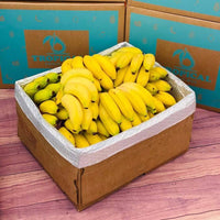 Thumbnail for Apple Banana Manzano BoxLarge (16 Pounds) 