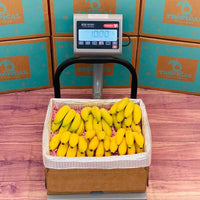 Thumbnail for Apple Banana Manzano BoxMedium (8 Pounds) 