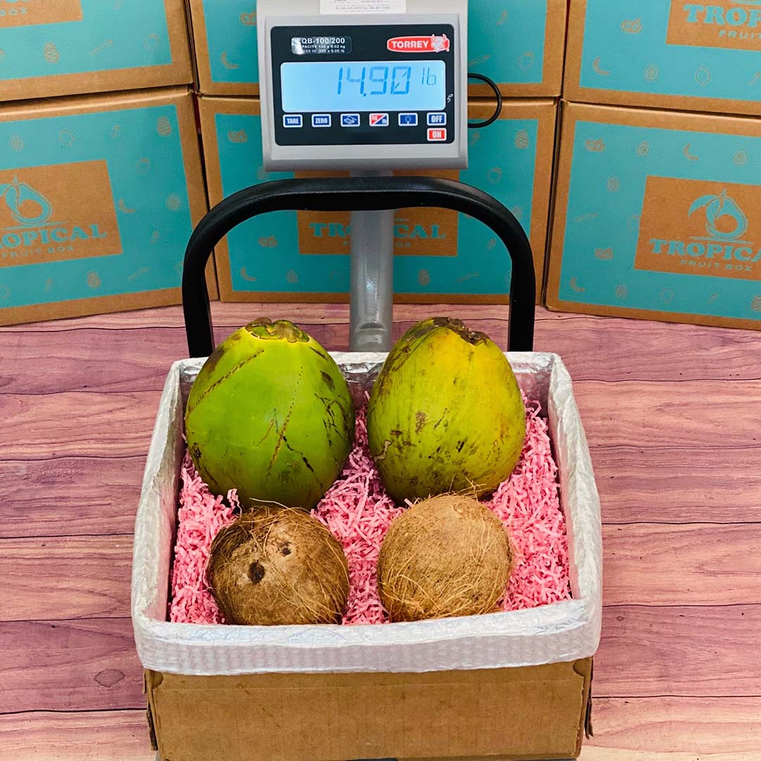 Mixed Coconuts - Medium (4 Coconuts) - Tropical Fruit Box