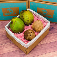 Thumbnail for Mixed CoconutsMedium (4 Coconuts) 